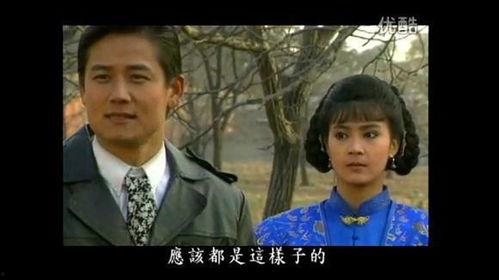 婉君电视剧在线观看,穿越时空的青春恋曲  第2张