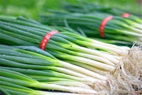 读我心声吃大瓜魏思瑶免费全集,魏思瑶免费全集,揭秘情感纠葛与成长历程 第1张 读我心声吃大瓜魏思瑶免费全集,魏思瑶免费全集,揭秘情感纠葛与成长历程 第1张