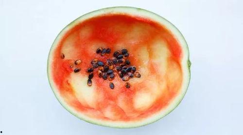 网红吃瓜勺子图片大全,盘点那些搞笑又可爱的吃瓜神器 第1张 网红吃瓜勺子图片大全,盘点那些搞笑又可爱的吃瓜神器 第1张