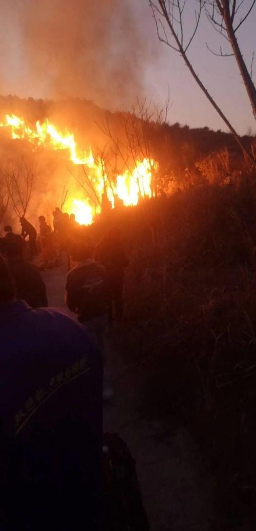 狮子山爆料视频最新版本,独家内幕大曝光! 第1张 狮子山爆料视频最新版本,独家内幕大曝光! 第1张